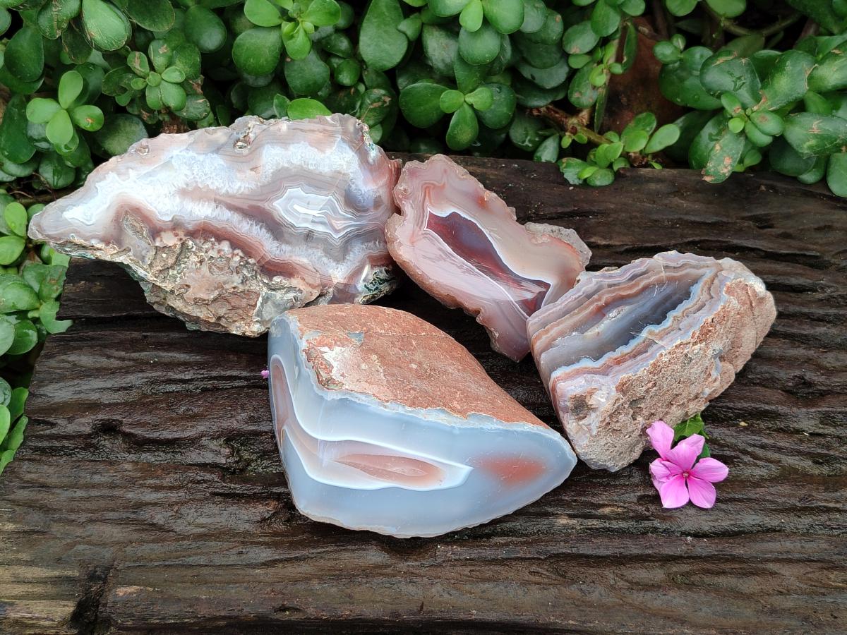 Polished One Side Red Shashe River Agate Nodules x 4 From Shashe River, Zimbabwe