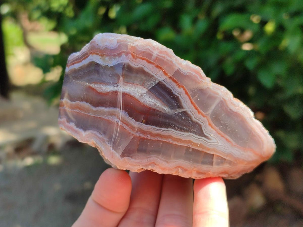 Polished One Side Red Shashe River Agate Nodules x 4 From Shashe River, Zimbabwe