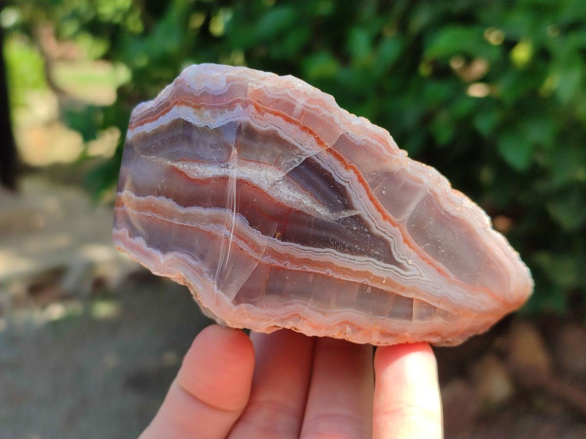 Polished One Side Red Shashe River Agate Nodules x 4 From Shashe River, Zimbabwe