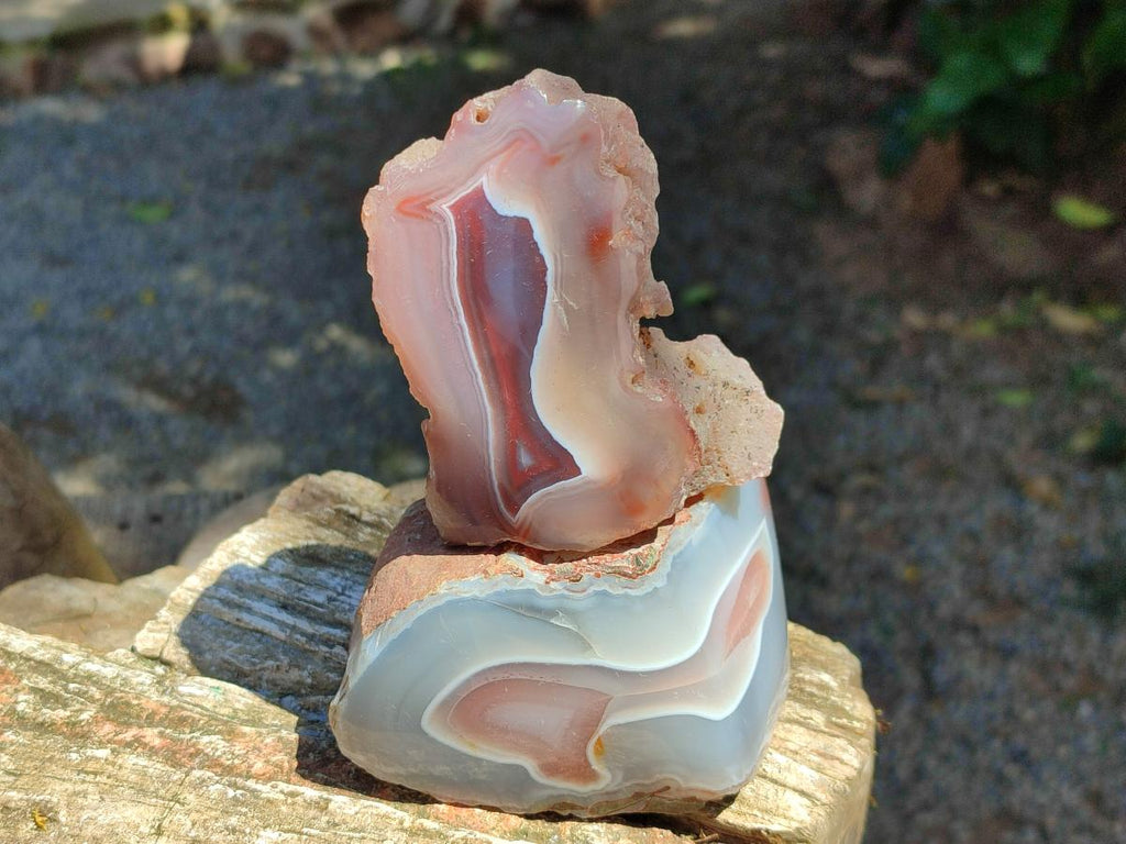 Polished One Side Red Shashe River Agate Nodules x 4 From Shashe River, Zimbabwe