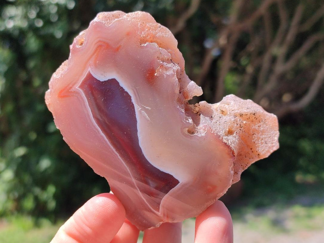 Polished One Side Red Shashe River Agate Nodules x 4 From Shashe River, Zimbabwe