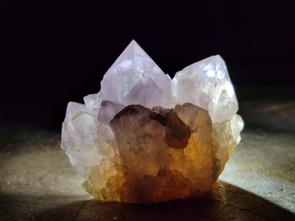 Natural Cactus Flower Amethyst Spirit Clusters x 12 From South Africa