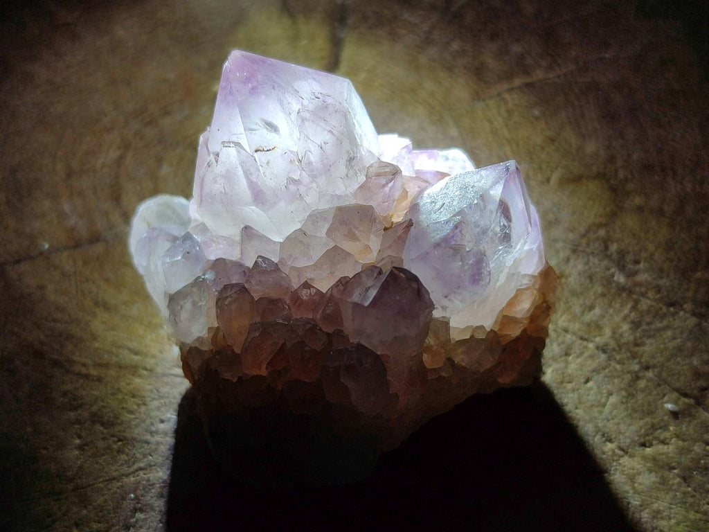 Natural Cactus Flower Amethyst Spirit Clusters x 12 From South Africa