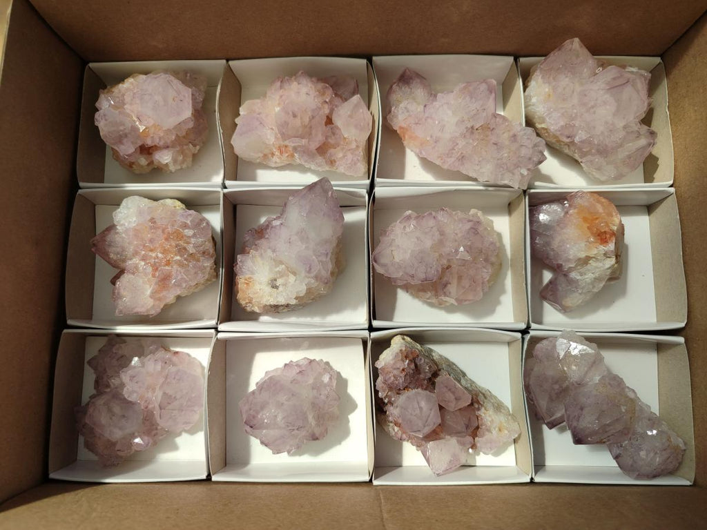 Natural Cactus Flower Amethyst Spirit Clusters x 12 From South Africa