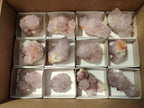 Natural Cactus Flower Amethyst Spirit Clusters x 12 From South Africa