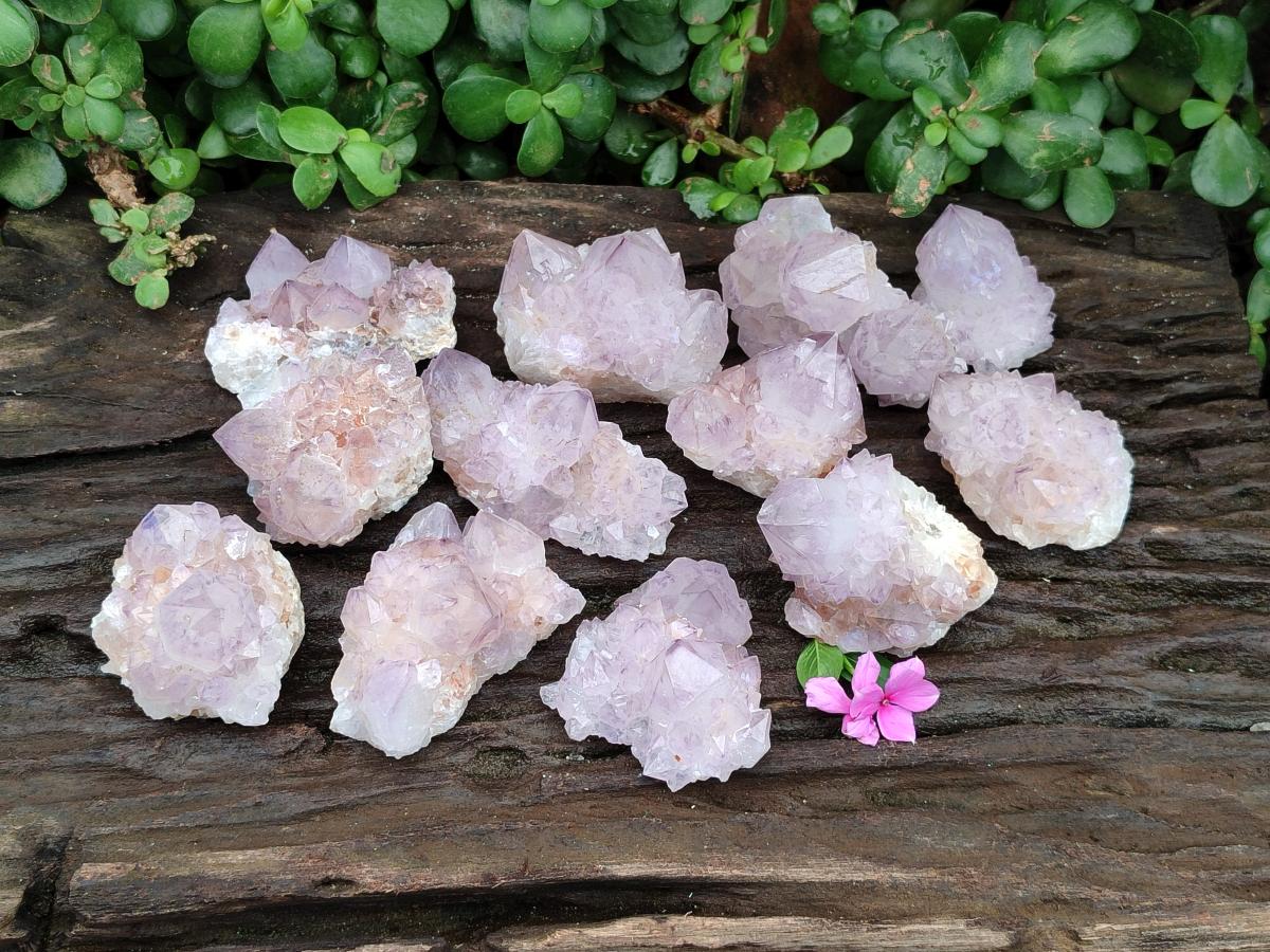 Natural Cactus Flower Amethyst Spirit Clusters x 12 From South Africa