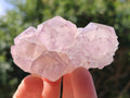 Natural Cactus Flower Amethyst Spirit Clusters x 12 From South Africa