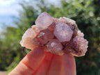 Natural Cactus Flower Amethyst Spirit Clusters x 12 From South Africa