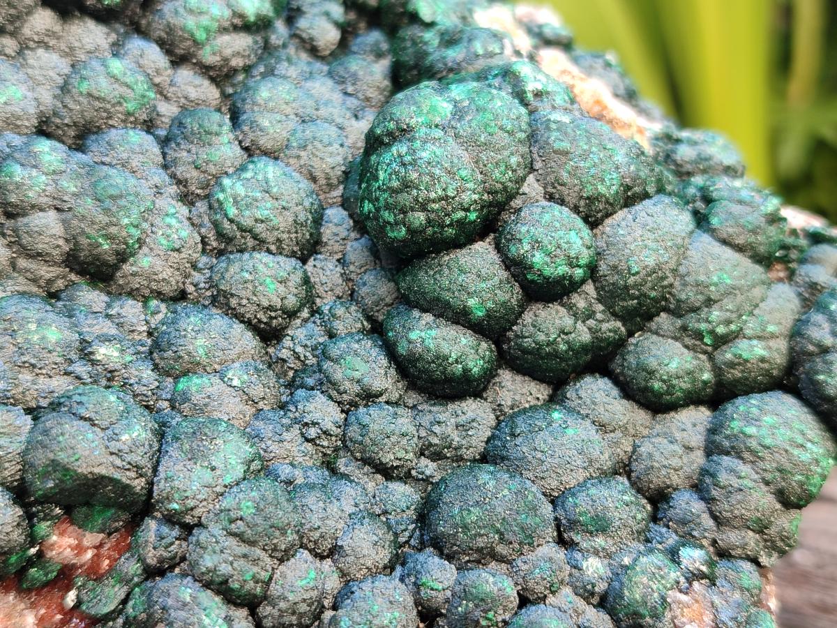 Natural Crystalline Ball Malachite on Dolomite Specimen x 1 From Mindingi Mine, Kambove, Congo