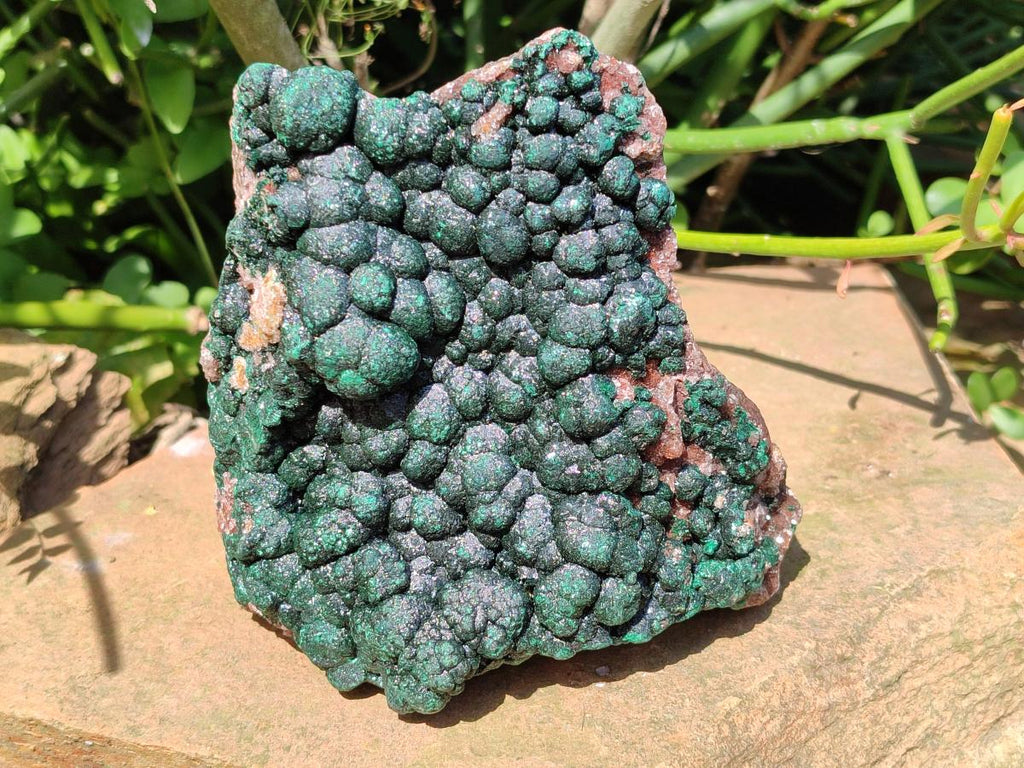 Natural Crystalline Ball Malachite on Dolomite Specimen x 1 From Mindingi Mine, Kambove, Congo