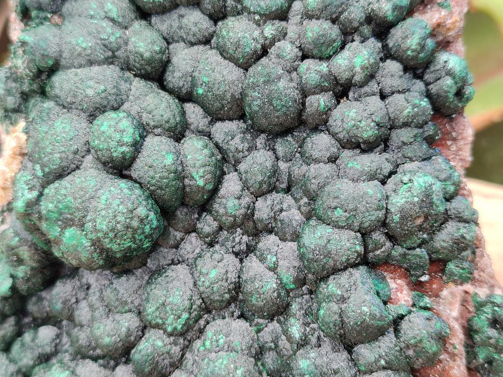 Natural Crystalline Ball Malachite on Dolomite Specimen x 1 From Mindingi Mine, Kambove, Congo