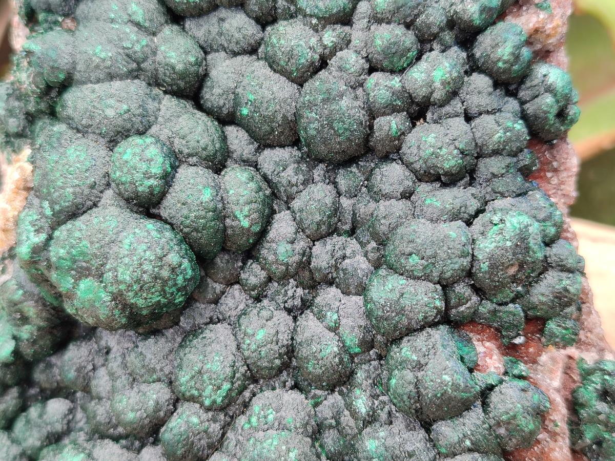 Natural Crystalline Ball Malachite on Dolomite Specimen x 1 From Mindingi Mine, Kambove, Congo