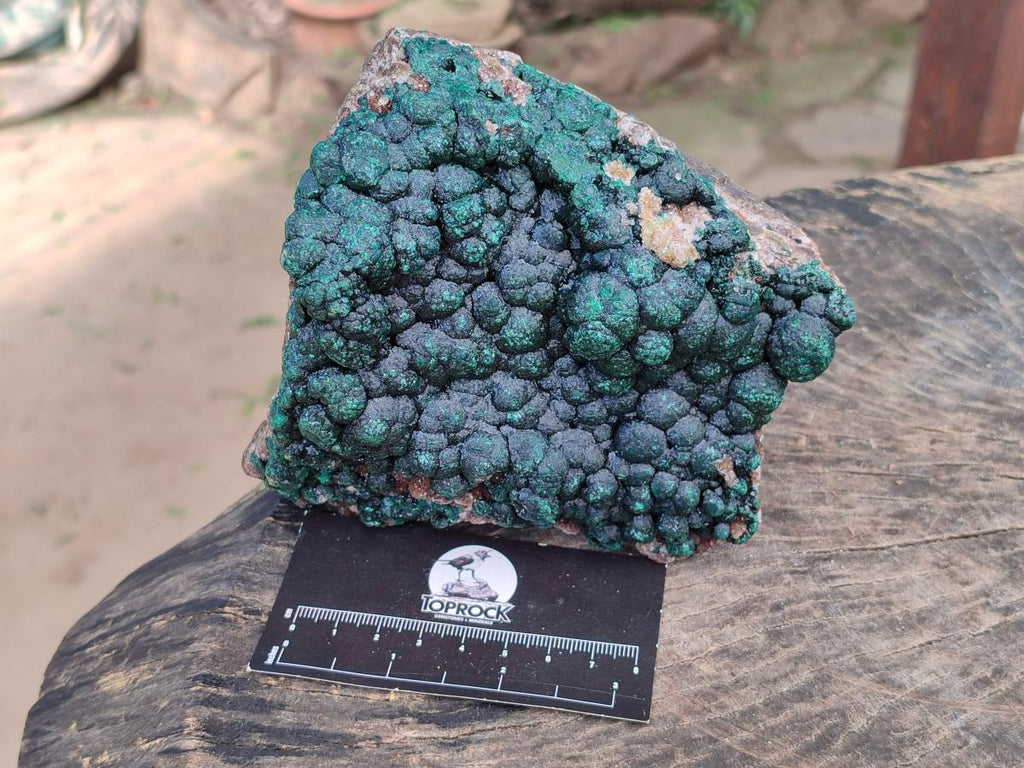 Natural Crystalline Ball Malachite on Dolomite Specimen x 1 From Mindingi Mine, Kambove, Congo