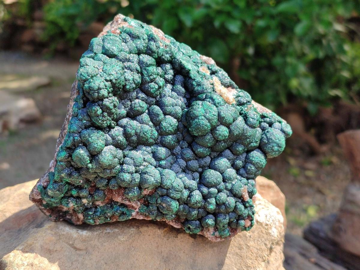 Natural Crystalline Ball Malachite on Dolomite Specimen x 1 From Mindingi Mine, Kambove, Congo