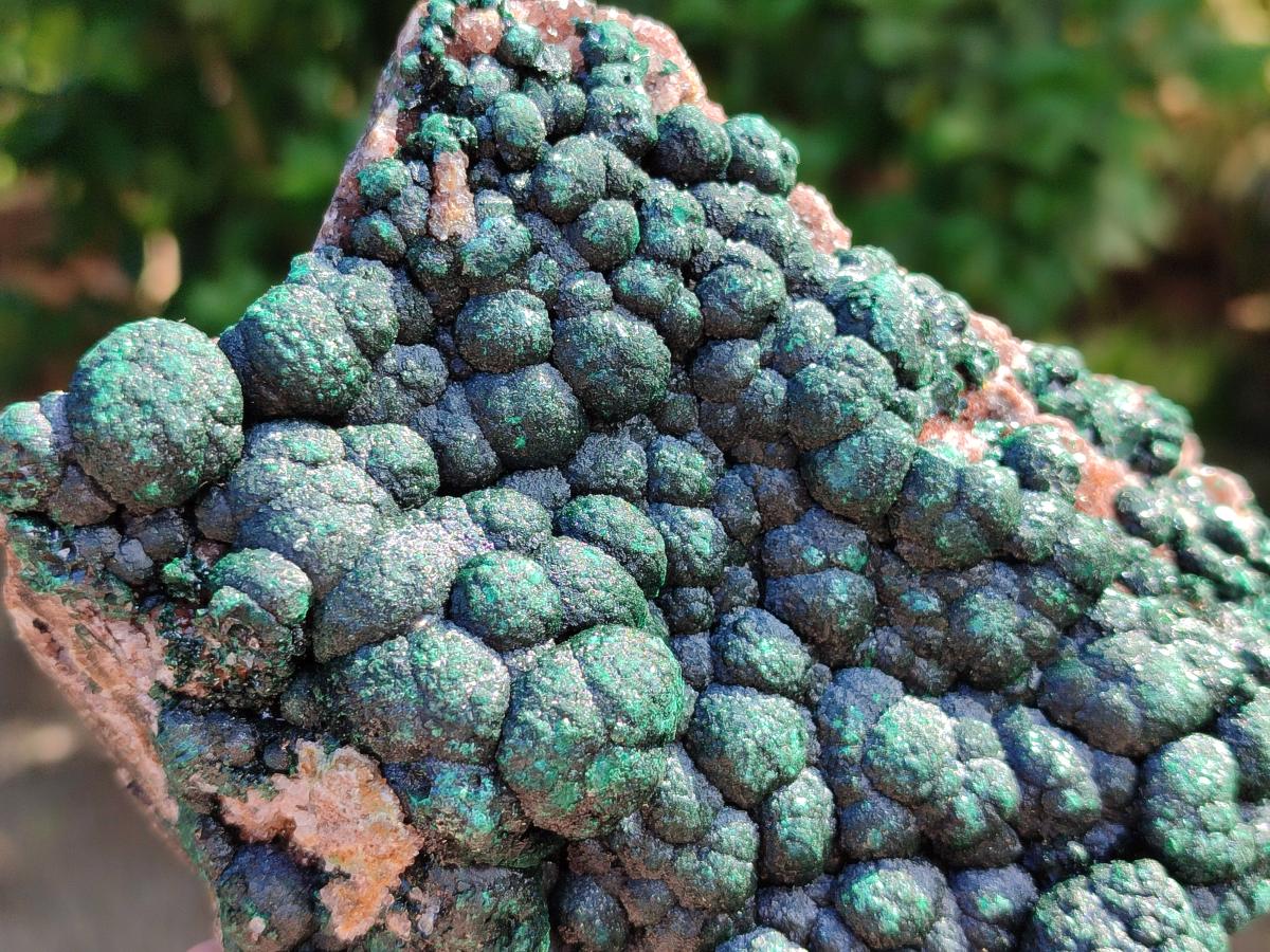 Natural Crystalline Ball Malachite on Dolomite Specimen x 1 From Mindingi Mine, Kambove, Congo