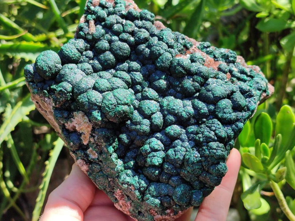Natural Crystalline Ball Malachite on Dolomite Specimen x 1 From Mindingi Mine, Kambove, Congo