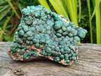 Natural Crystalline Ball Malachite on Dolomite Specimen x 1 From Mindingi Mine, Kambove, Congo