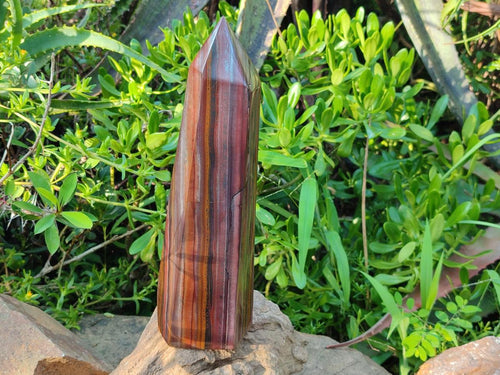 Polished Large Banded Tiger Iron Display Crystal x 1 From South Africa