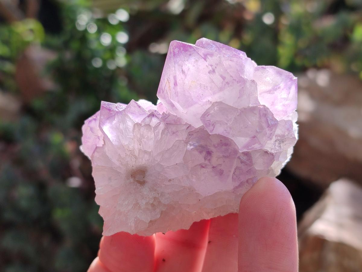 Natural Amethyst Spirit Clusters x 6 From Boekenhouthoek, South Africa