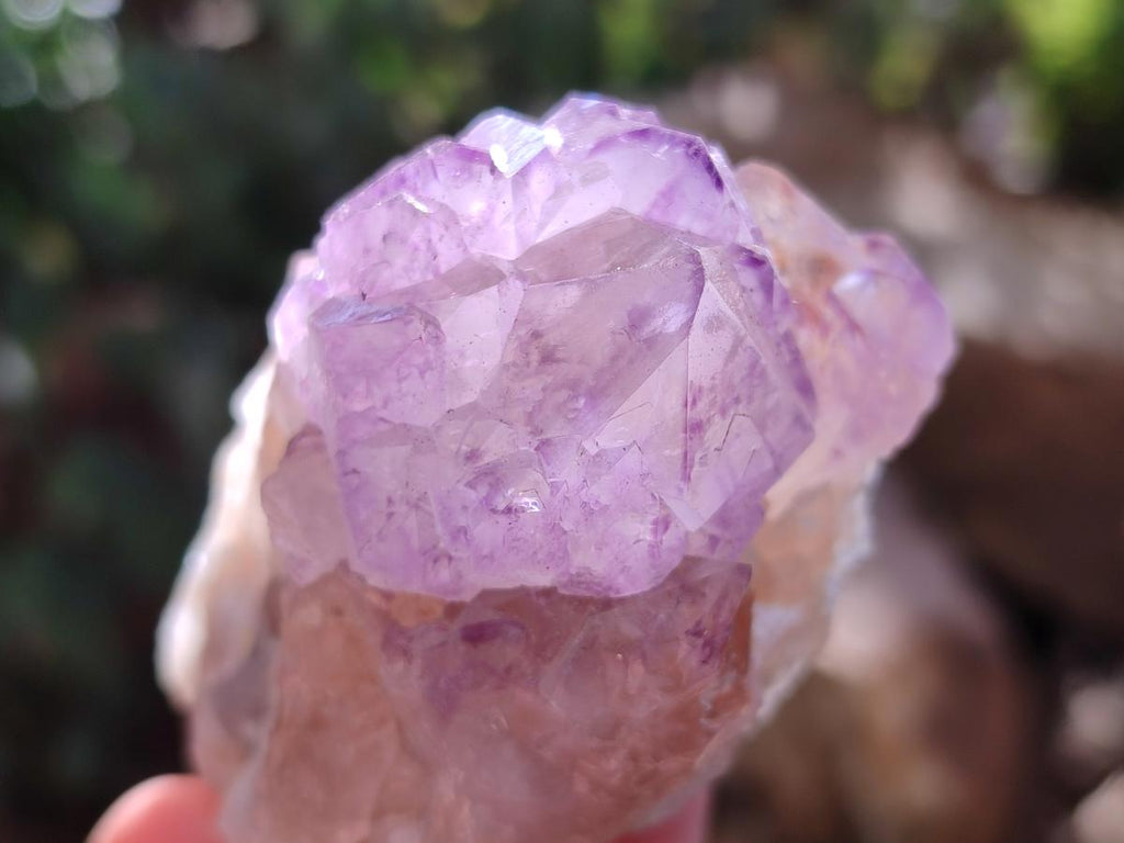 Natural Amethyst Spirit Clusters x 6 From Boekenhouthoek, South Africa