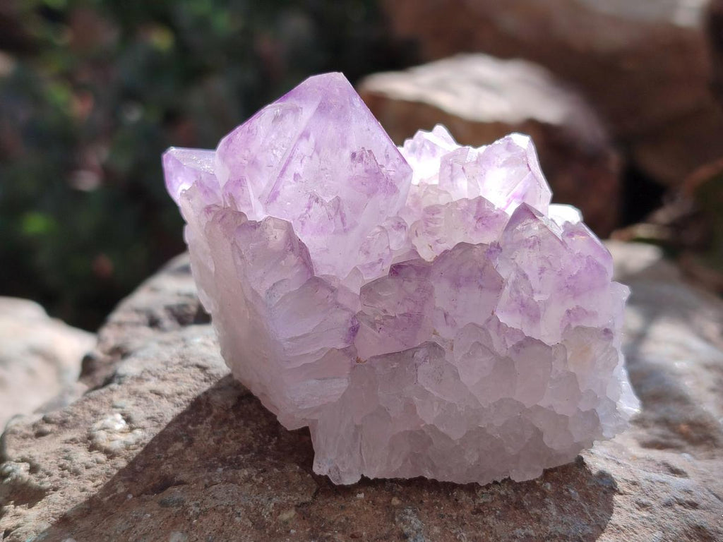 Natural Amethyst Spirit Clusters x 6 From Boekenhouthoek, South Africa