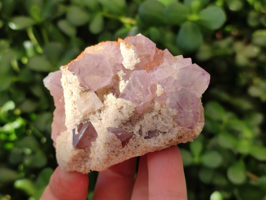 Natural Amethyst Spirit Clusters x 6 From Boekenhouthoek, South Africa