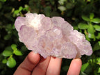 Natural Amethyst Spirit Clusters x 6 From Boekenhouthoek, South Africa