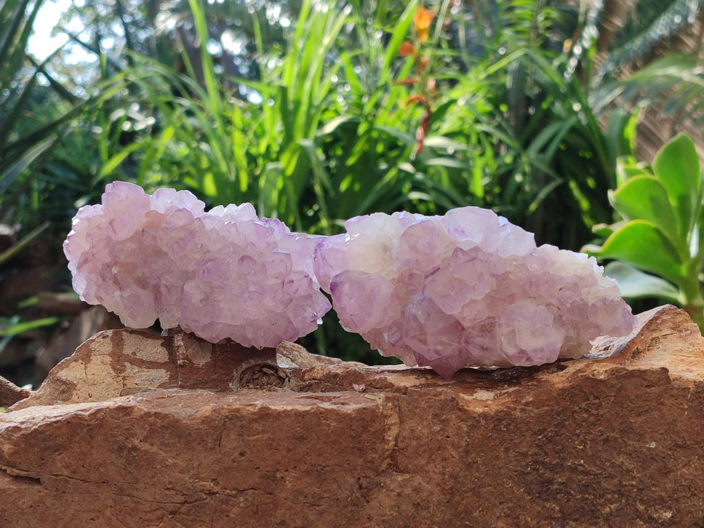 Natural Amethyst Spirit Clusters x 6 From Boekenhouthoek, South Africa
