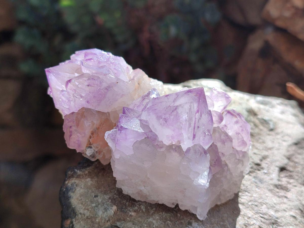 Natural Amethyst Spirit Clusters x 6 From Boekenhouthoek, South Africa