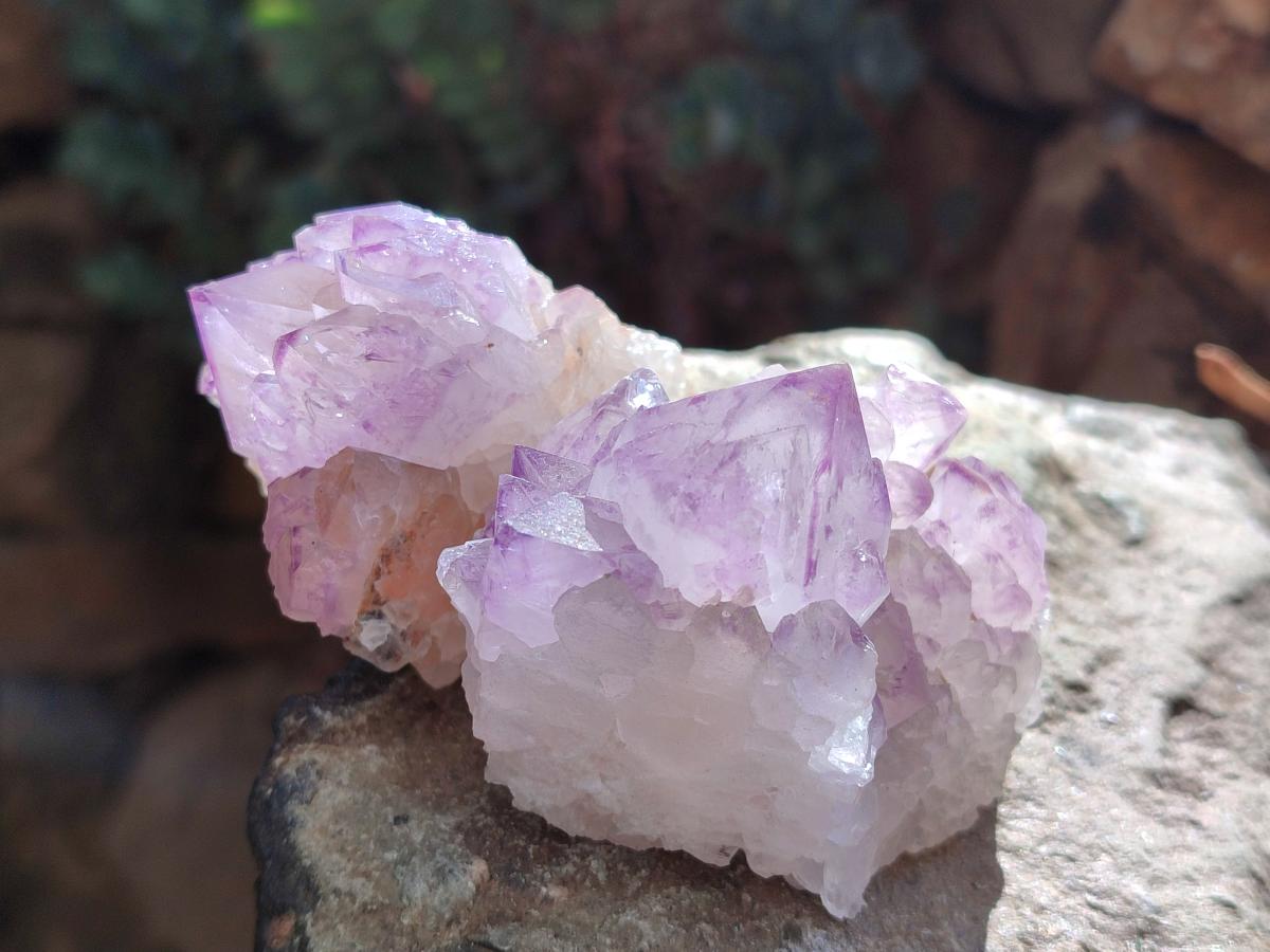 Natural Amethyst Spirit Clusters x 6 From Boekenhouthoek, South Africa