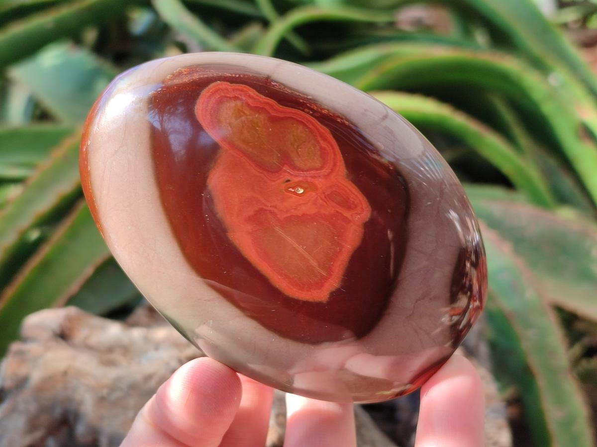 Polished Polychrome Jasper Standing Free Forms x 3 From NW Coast, Madagascar