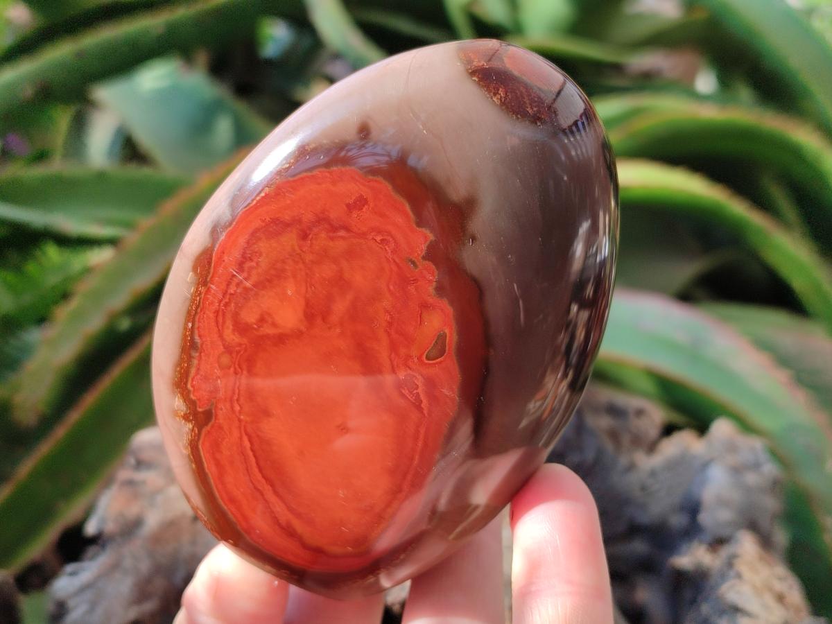 Polished Polychrome Jasper Standing Free Forms x 3 From NW Coast, Madagascar