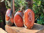 Polished Polychrome Jasper Standing Free Forms x 3 From NW Coast, Madagascar