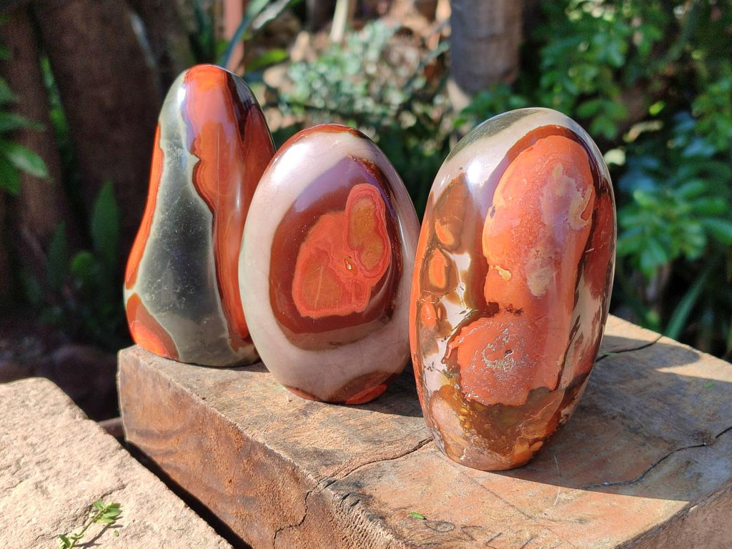 Polished Polychrome Jasper Standing Free Forms x 3 From NW Coast, Madagascar