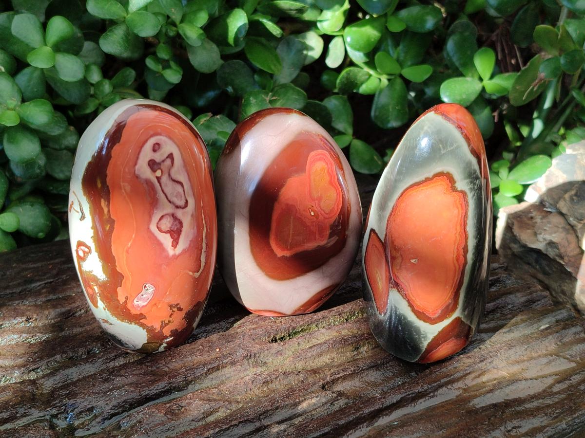 Polished Polychrome Jasper Standing Free Forms x 3 From NW Coast, Madagascar