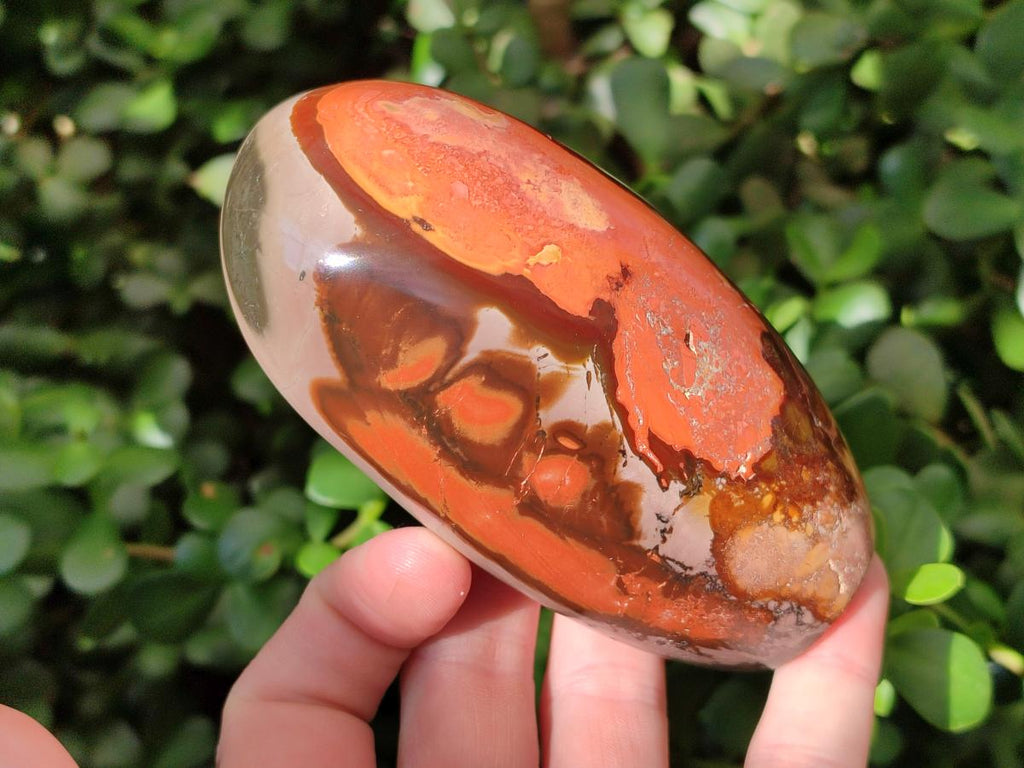 Polished Polychrome Jasper Standing Free Forms x 3 From NW Coast, Madagascar