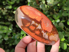 Polished Polychrome Jasper Standing Free Forms x 3 From NW Coast, Madagascar