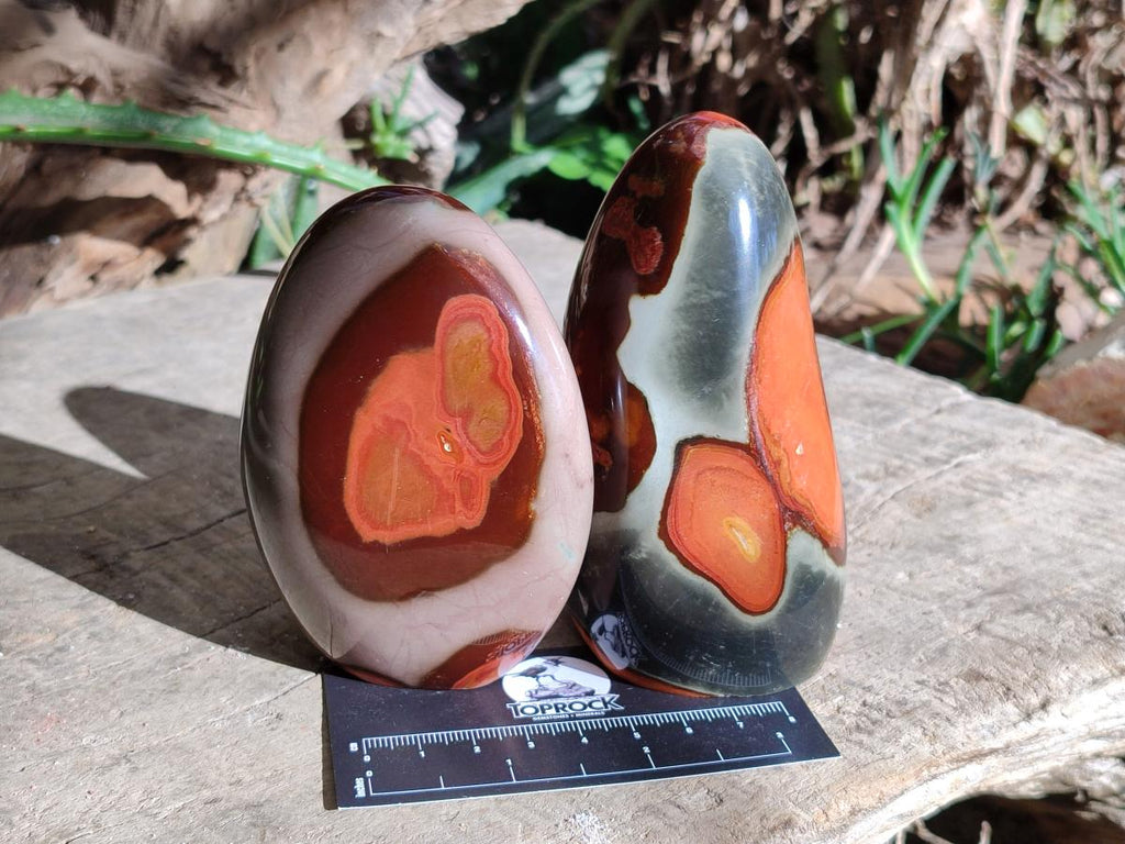 Polished Polychrome Jasper Standing Free Forms x 3 From NW Coast, Madagascar