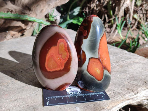 Polished Polychrome Jasper Standing Free Forms x 3 From NW Coast, Madagascar