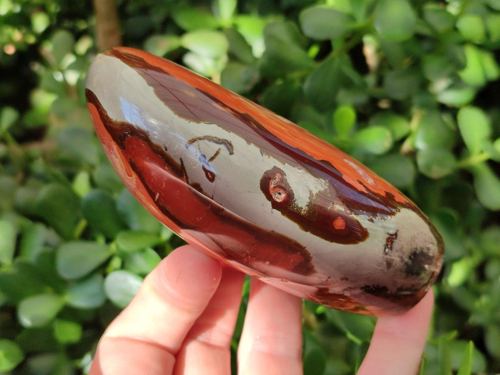 Polished Polychrome Jasper Standing Free Forms x 3 From NW Coast, Madagascar