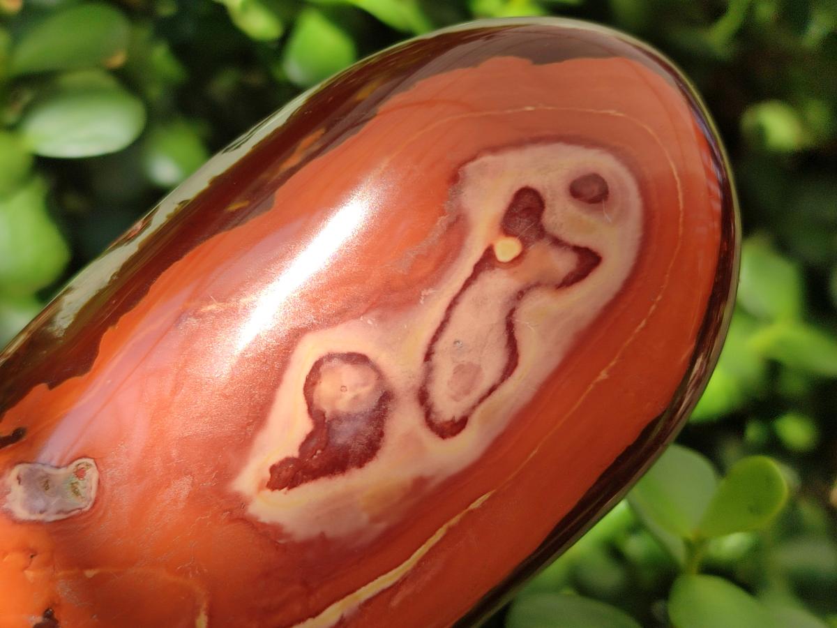 Polished Polychrome Jasper Standing Free Forms x 3 From NW Coast, Madagascar