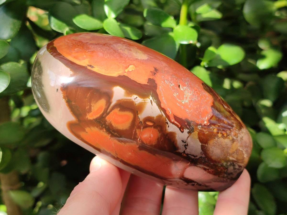 Polished Polychrome Jasper Standing Free Forms x 3 From NW Coast, Madagascar