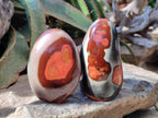 Polished Polychrome Jasper Standing Free Forms x 3 From NW Coast, Madagascar