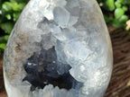 Polished Large Blue Celestite Egg x 1 From Sakoany, Madagascar