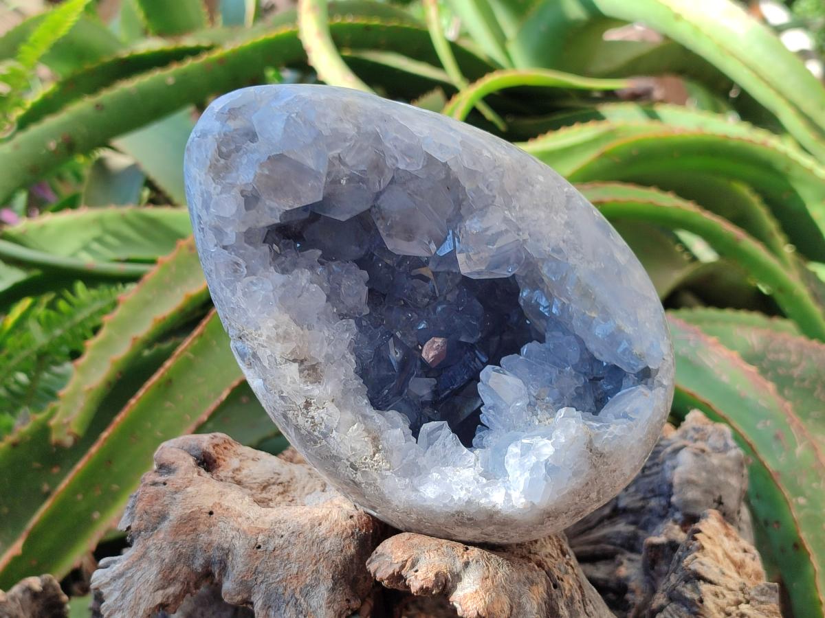 Polished Large Blue Celestite Egg x 1 From Sakoany, Madagascar