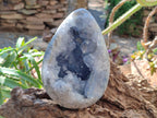 Polished Large Blue Celestite Egg x 1 From Sakoany, Madagascar