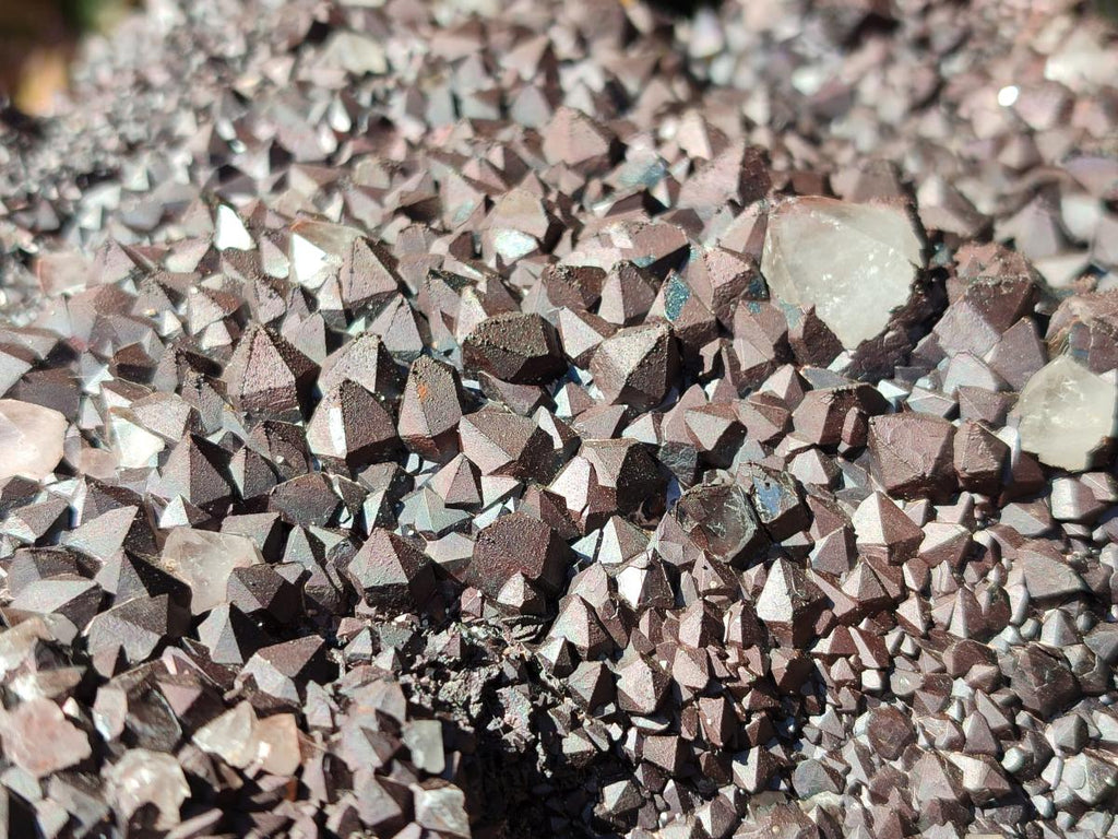 Natural XL Blacknite with Smokey Quartz Cluster x 1 From Madagascar