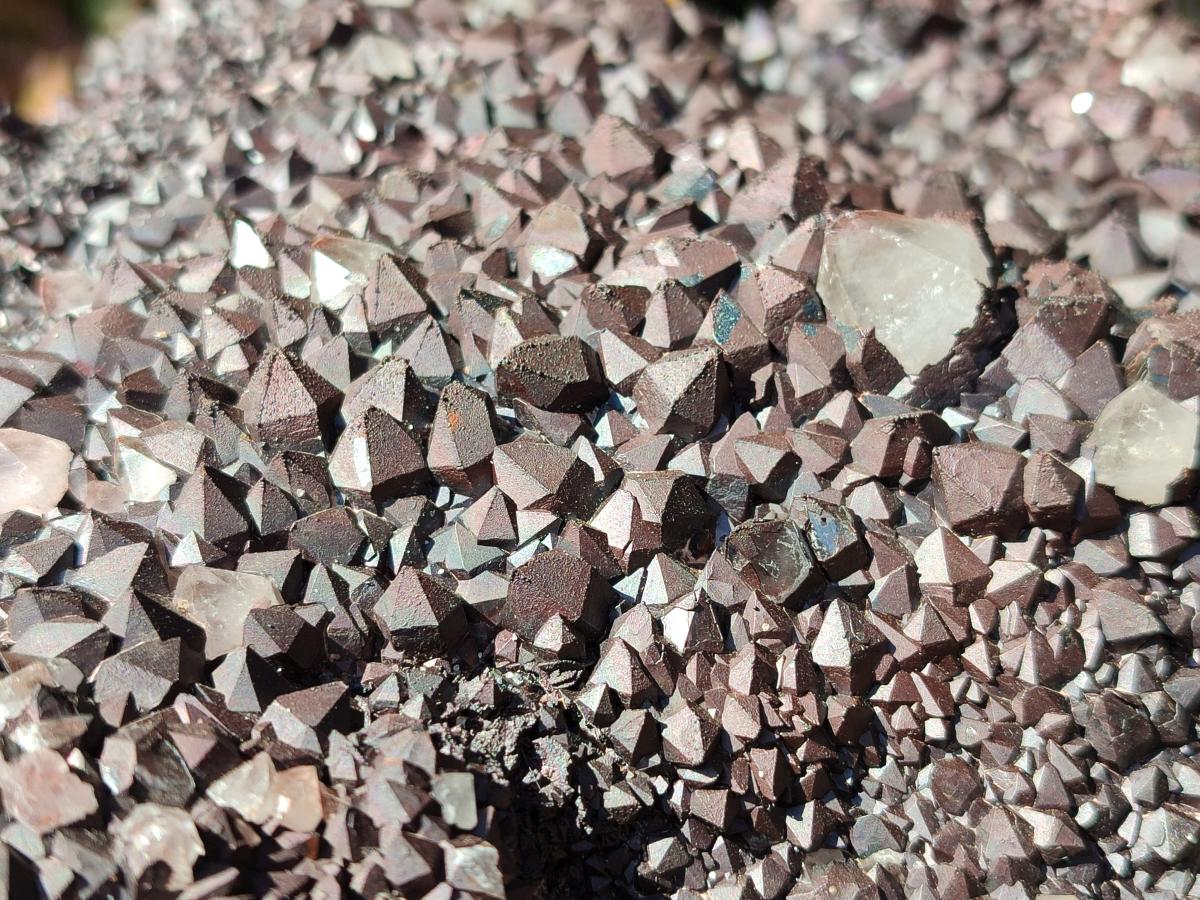 Natural XL Blacknite with Smokey Quartz Cluster x 1 From Madagascar