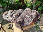 Natural XL Blacknite with Smokey Quartz Cluster x 1 From Madagascar