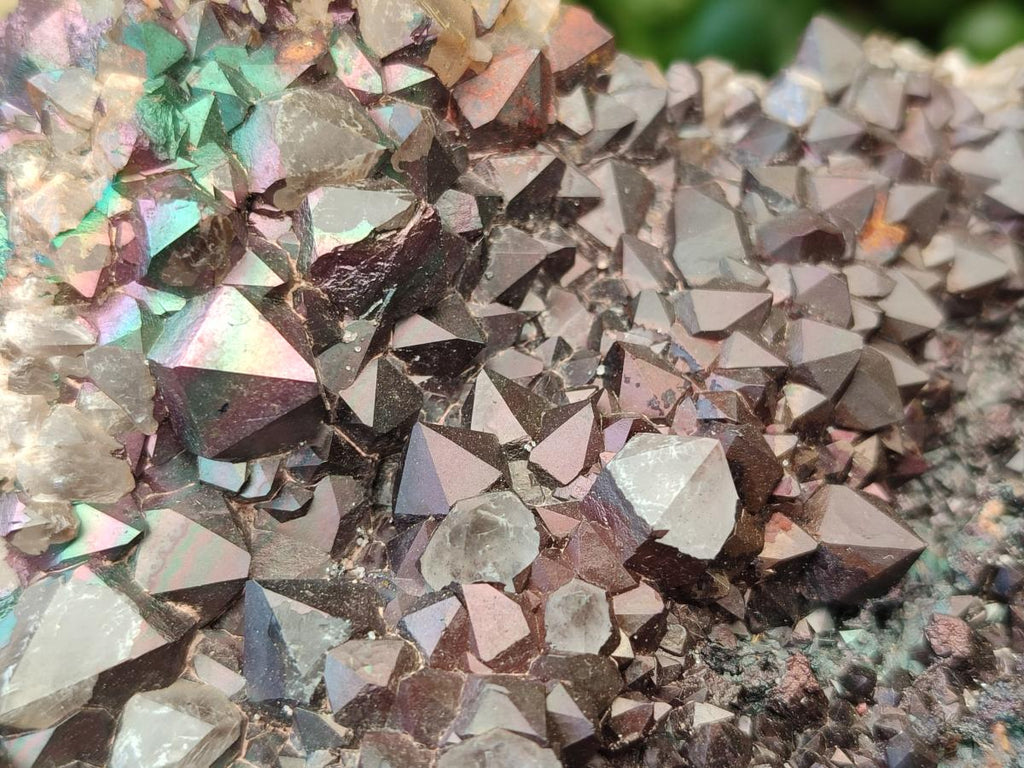 Natural XL Blacknite with Smokey Quartz Cluster x 1 From Madagascar